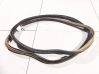 Rubber seal front coupe door 