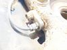 ABS brake wheel speed sensor 