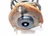 Coil spring mount 