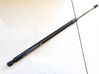 Tailgate/trunk strut/damper 81841CV000