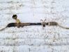 Steering rack LLHD