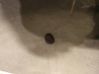 Windshield washer spray nozzle 