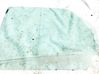 Rear door window glass AS2