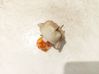 Headlight part PY21W