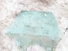 Rear door window glass AS2
