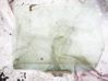 Rear door window glass AS2