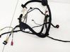 Other wiring loom P206878901B