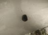 Windshield washer spray nozzle 