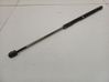Front bonnet/hood damper/strut 