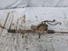 Steering rack 6200000059