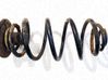 Muelle espiral trasero 