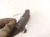 Windscreen/windshield washer pump 93BB17K624AA