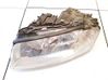 Headlight/headlamp 15811700