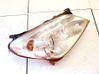 Faro delantero/faro principal 1EG27037042