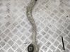 Front lower control arm/wishbone 
