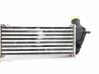 Chłodnica powietrza doładowującego / Intercooler 7700836311