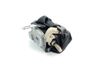 Rear seatbelt 308176299JN7