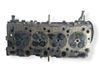 Engine head 5607076