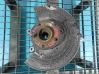 Rear wheel bearing hub IMPRK1258073