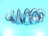 Muelle espiral delantero IMPRK1337263