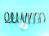 Rear coil spring IMPRK1194193