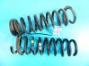 Rear coil spring IMPRK1291116