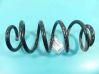 Front coil spring 993081