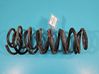 Muelle espiral trasero IMPRK1393062