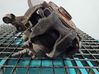 Front brake caliper IMPRK1442150