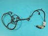 Tailgate/trunk wiring harness 2007653