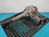 Front differential 4460310026