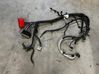 Wiring harness P2DT14B060BC