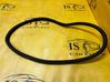 Rear door rubber seal (on body) 
