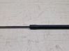 Tailgate/trunk strut/damper 3C9827550A