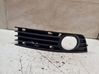 Front fog light trim/grill 8E0807682A