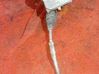 Steering rack 9803054580