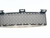 Front bumper lower grill 5111700882014