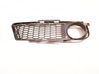 Front fog light trim/grill 7906496