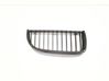 Front grill 7120008