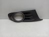 Front fog light trim/grill 