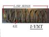 Muelle espiral trasero 