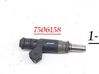 Fuel injector 7506158