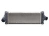 Interkūlerio radiatorius GK216K775AE