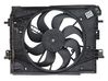 Electric radiator cooling fan 214818009R