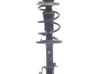 Front shock absorber with coil spring 543020322R