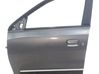 Front door 801011879R