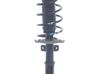 Amortiguador delantero con muelle espiral 1628565580