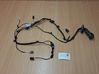 Cableado de puerta delantera 8200517567
