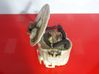 In-tank fuel pump 