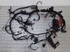 Engine installation wiring loom 
